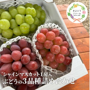 �y�ӂ邳�Ɣ[�Łz�y2026�N��s�\��z�Ԃǂ�3�i��l����(�V���C���}�X�J�b�g��)3-5�[��/�v2kg�`(���R���Y)�y�z���s�n��F�����z�y1678561�z