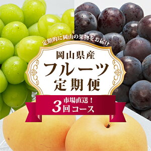 yӂ邳Ɣ[ŁzyŒցzA RY VC}XJbg()EقS3_ VC}XJbg j[sI[l  Ԃǂ  uhE Hה t[c ʕ 