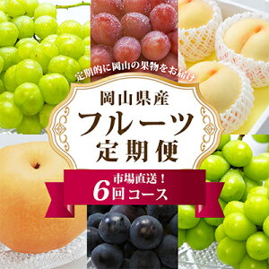 yӂ邳Ɣ[ŁzyŒցzRY t[c֑S6yzsnFEkCEꌧzy4014389z