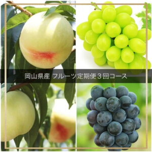 yӂ邳Ɣ[ŁzyŒցzRY t[c֑S3_  j[sI[l VC}XJbg    Ԃǂ  uhE Hה ʕ  t[c  