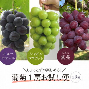 �y�ӂ邳�Ɣ[�Łz�y�������Œ����ցz2026�N��s�\��@1�[�������s�I�[�l�E�V���C���}�X�J�b�g�E����(���R�Y)�S3��_ �V���C���}�X�J�b�g �s�I�[�l ���� ����� �Ԃǂ� ���� �u�h�E �ʕ� ��