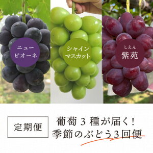 �y�ӂ邳�Ɣ[�Łz�y�������Œ����ցz2026�N��s�\�� �ʂ����������̕���3�킪�͂�!�Ԃǂ�3���!(���R�Y)�S3��y�z���s�n��F�����z�y4061985�z