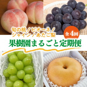 yӂ邳Ɣ[ŁzyŒցzy2026Ns\zƕƗ͂!yցz(RY)S4yzsnFEkCEꌧzy4061986z