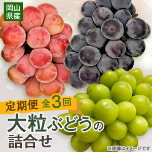 yӂ邳Ɣ[ŁzyŒցzy2025Ns\z10`12@嗱Ԃǂ̋lS3_ Ԃǂ  uhE VC}XJbg l 嗱 햳 ʕ  t[c  