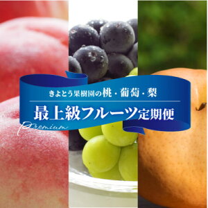 yӂ邳Ɣ[ŁzyŒցzy2026Ns\zAԂǂA̍ŏ㋉i{ɂ͂3(RY)S3_  Ԃǂ  Hה   VC}XJbg ʕ t[c 