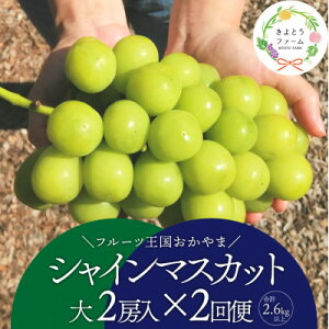 �y�ӂ邳�Ɣ[�Łz�y�������Œ����ցz�y2026�N��s�\��z�V���C���}�X�J�b�g��2�[�̖�����/�S�֌v2.6kg�`�S2��_ �V���C���}�X�J�b�g �ӂ邳�Ɣ[�� �Ԃǂ� ���� �u�h�E �ʕ� �t���[�c ������