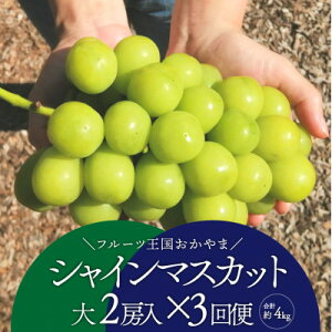 �y�ӂ邳�Ɣ[�Łz�y�������Œ����ցz�y2026�N��s�\��z�V���C���}�X�J�b�g���y���ޖ�����/�S�֌v3.9kg�`�S3��_ �V���C���}�X�J�b�g ����� �Ԃǂ� ���� �u�h�E �ʕ� �������� �t���[�c ��