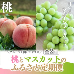 yӂ邳Ɣ[ŁzyŒցzy2026Ns\zƃVC}XJbgYn!ƒp֑S2yzsnFEkCEꌧzy4065365z