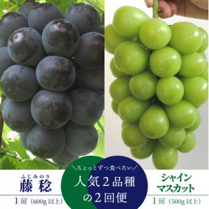 yӂ邳Ɣ[ŁzyŒցzy2026Ns\zƃVC}XJbg1[2(RY)S2yzsnFzy4065820z