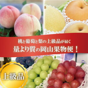 yӂ邳Ɣ[ŁzyŒցzy2026Ns\zR̓AԂǂAYn!iyޒ֑S3yzsnFEkCEꌧzy4066247z