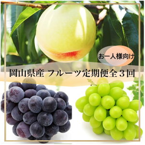 �y�ӂ邳�Ɣ[�Łz�y�������Œ����ցz���R���Y �t���[�c����ցq����l�l�����r�S3��_ �V���C���}�X�J�b�g �� ���� �j���[�s�I�[�l ���� �Ԃǂ� ���� �u�h�E �ʕ� �������� �t���[�c ���