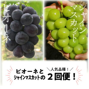 �y�ӂ邳�Ɣ[�Łz�y�������Œ����ցz�y2026�N��s�\��z�s�I�[�l�ƃV���C���}�X�J�b�g�̑�2�[���͂�(���R�Y)�S2��y�z���s�n��F�����z�y4067477�z