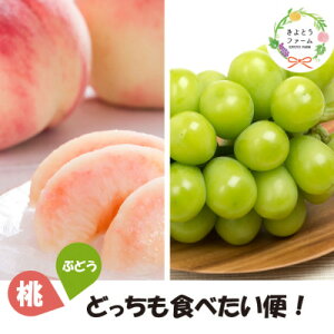 yӂ邳Ɣ[ŁzyŒցzy2026Ns\zƕǂHׂ!yցz(RY)S2yzsnFEkCEꌧzy4067481z