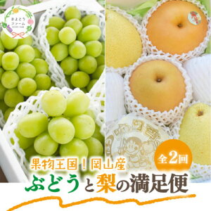 yӂ邳Ɣ[ŁzyŒցzy2026Ns\zVC}XJbgv2kg`Ɨ2-3㋉iRYS2yzsnFzy4067489z