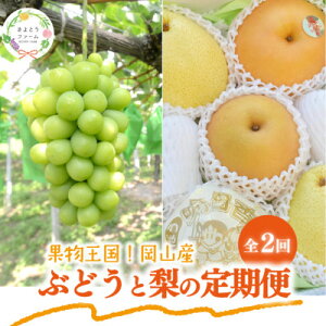 yӂ邳Ɣ[ŁzyŒցzy2026Ns\zVC}XJbg2[Ɨ2-3㋉i(RY)S2yzsnFzy4067496z