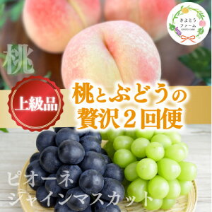 yӂ邳Ɣ[ŁzyŒցzy2026Ns\zƃsI[l&VC}XJbgґ2(RY)S2yzsnFEkCEꌧzy4067689z