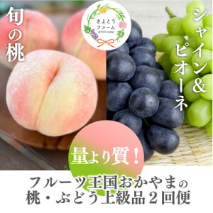 yӂ邳Ɣ[ŁzyŒցzy2026Ns\zʂ莿!ƃsI[l&VC̒(RY)S2yzsnFEkCEꌧzy4067690z