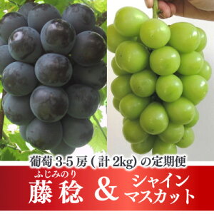 yӂ邳Ɣ[ŁzyŒցzy2026Ns\zƃVC}XJbge2kg̒(RY)S2yzsnFzy4068046z