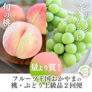 yӂ邳Ɣ[ŁzyŒցzy2026Ns\zƃVC}XJbg ǂHׂ(RY)S2yzsnFzy4071129z