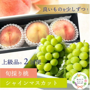 yӂ邳Ɣ[ŁzyŒցzy2026Ns\zIꂽʓ3ʂƑ嗱VC}XJbg!S2yzsnFzy4071130z