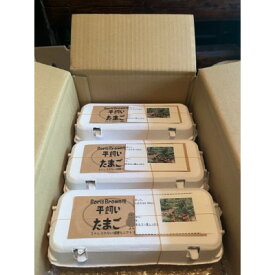 【ふるさと納税】津山市産・平飼い卵25個+割れ保証5個【1486349】