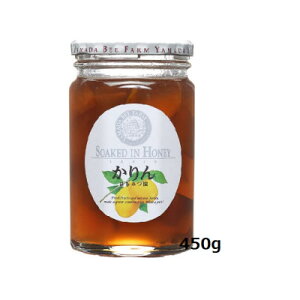 yӂ邳Ɣ[Łz݂͂450g(26235)y1608965z