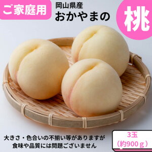 yӂ邳Ɣ[Łzy2026Nzƒp@܂̓@3ʁ@900gyzsnFEꌧzy1614288z