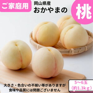 yӂ邳Ɣ[Łzy2026Nzƒp@܂̓@1.3kg(5`6)yzsnFEꌧzy1614291z