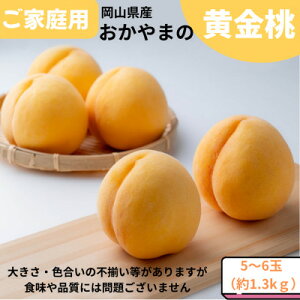 yӂ邳Ɣ[Łzys\zƒp@܂̉@1.3kg(5`6)yzsnFEꌧzy1614294z