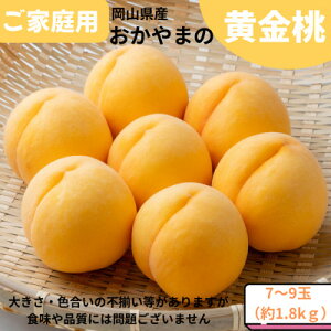 yӂ邳Ɣ[Łzys\zƒp@܂̉@1.8kg(7`9)yzsnFEꌧzy1614295z