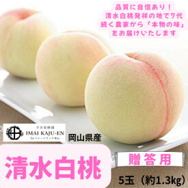 【ふるさと納税】【2026年発送】岡山県産清水白桃　5玉・約1.3kg_ 清水白桃 白桃 桃 もも モモ 1.3kg 5玉 高級桃 贈答 果物 くだもの フルーツ デザート 岡山県 津山市 産直 産地直送 ギフト プレゼント 送料無料 【配送不可地域：離島】【1614351】