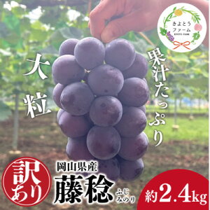 �y�ӂ邳�Ɣ[�Łz�y2026�N��s�\��z�󂠂� ��Ȃ� �{�b�P�[�l(����) ��2.4kg (���R���Y)�y�z���s�n��F�����z�y1632754�z