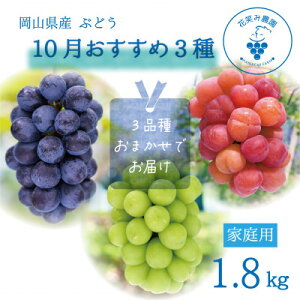 �y�ӂ邳�Ɣ[�Łz�y2026�N��s�\��z���R�@�ԏ΂ݔ_���́w10����������3��x�ƒ�p�@1.8kg(3�[)3M-2L�Ɓy�z���s�n��F�����z�y1694423�z