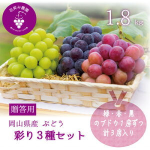 �y�ӂ邳�Ɣ[�Łz�y2026�N��s�\��z���R�@�ԏ΂ݔ_���̃u�h�E�w�ʂ�3��Z�b�g�x�����p�@1.8kg(3�[)3M-2��y�z���s�n��F�����z�y1695393�z