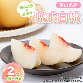 【ふるさと納税】【先行予約・2026年9月上旬頃より発送予定】しっかりした果肉と果汁たっぷり岡山の白桃(2kg箱)【配送不可地域：離島】【1711993】