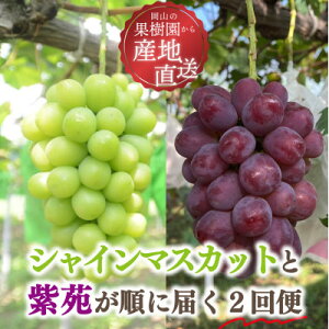 �y�ӂ邳�Ɣ[�Łz�y�������Œ����ցz�y2026�N��s�\��z�V���C���}�X�J�b�g�Ǝ�����2���(���R���Y)�S2��y�z���s�n��F�����z�y4078245�z