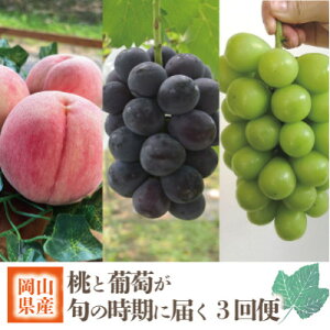 �y�ӂ邳�Ɣ[�Łz�y�������Œ����ցz�y2026�N��s�\��z�{�̂蓍�ƃs�I�[�l�A�V���C���}�X�J�b�g���͂�/���R�Y�S3��y�z���s�n��F�����z�y4078281�z