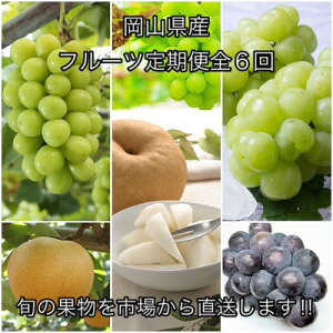 �y�ӂ邳�Ɣ[�Łz�y�������Œ����ցz���R���Y �t���[�c����֑S6��y�z���s�n��F�����z�y4078577�z