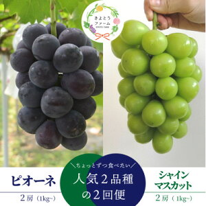 �y�ӂ邳�Ɣ[�Łz�y�������Œ����ցz�s�I�[�l�ƃV���C���}�X�J�b�g�������� (���R���Y)�S2��y�z���s�n��F�����z�y4078996�z