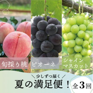 �y�ӂ邳�Ɣ[�Łz�y�������Œ����ցz�y2026�N��s�\��z���A�s�I�[�l�A�V���C���}�X�J�b�g�̖�����(���R���Y)�S3��y�z���s�n��F�����z�y4078998�z