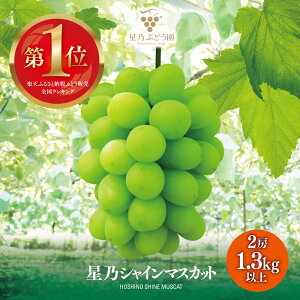 �y�ӂ邳�Ɣ[�Łz�y��s�\��z���T�V���C���}�X�J�b�g ���ʌ��� (���R���Y) 2�[(1.3kg�ȏ�)�y�z���s�n��F�����E�k�C���E���ꌧ�z�y1418970�z