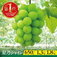 【ふるさと納税】【先行予約】星乃シャインマスカット 数量限定 (岡山県産)...