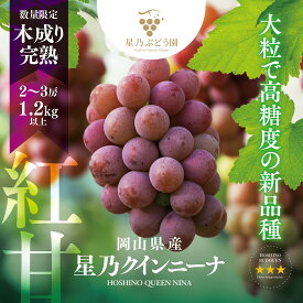 【ふるさと納税】【三つ星ブランド】星乃クインニーナ 数量限定 2房～3房(1.2kg以上)_ ぶどう 葡萄 ブドウ 果物 くだもの フルーツ 岡山県 津山市 人気 おすすめ 送料無料 贈答 ギフト 数量限定 【配送不可地域：離島・北海道・沖縄県】【1601625】