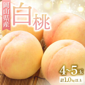yӂ邳Ɣ[Łzs\񁟁@RY@R4`5ʁ@2026NyzsnFEkCEꌧzy1349771z