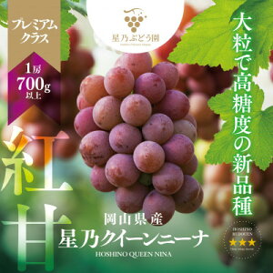 yӂ邳Ɣ[ŁzyOzv~ATNC[j[i ʌ 1[(700g)_ NCj[i ʌ Ԃǂ p R ÎRs  ʕ t[c lC   