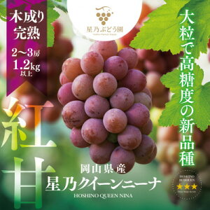 yӂ邳Ɣ[ŁzyOuhzTNC[j[i ʌ 2[`3[(1.2kgȏ)_ Ԃǂ  uhE ʕ  t[c R ÎRs lC    Mtg 
