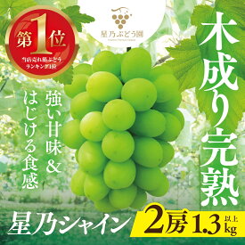 【ふるさと納税】星乃 シャインマスカット 1.3kg以上 2房 数量限定 岡山県産 ぶどう フルーツ 人気ぶどう_ シャインマスカット ぶどう 葡萄 ブドウ 果物 くだもの マスカット フルーツ 人気 美味しい 【配送不可地域：離島・北海道・沖縄県】【1418979】