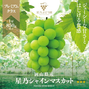 yӂ邳Ɣ[ŁzyOuhzTVC}XJbg v~ANX(RY) 1[×850gȏ_ Ԃǂ  uhE ʕ t[c  R ÎRs lC   