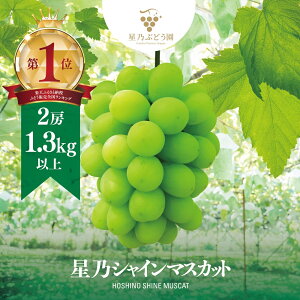 yӂ邳Ɣ[Łzs\yOuhzTVC}XJbg ʌ (RY)2[(1.3kgȏ)_ VC}XJbg Ԃǂ  uhE ʕ  }XJbg t[c lC 