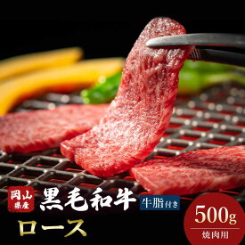 【ふるさと納税】＜岡山県産黒毛和牛＞ロース 500g (焼肉用) TY0-0367